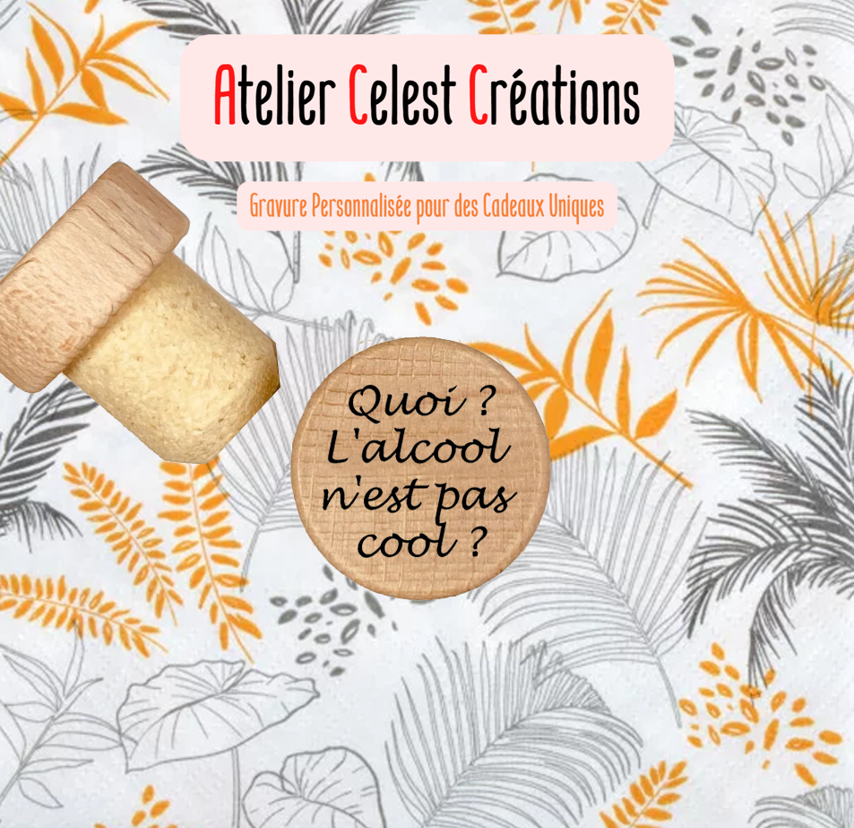 Quoi l'alcool n'est pas cool