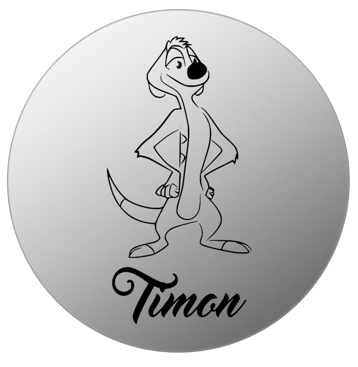 Infographie Timon